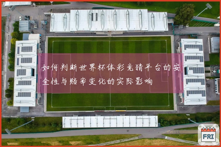 如何判断世界杯体彩竞猜平台的安全性与赔率变化的实际影响