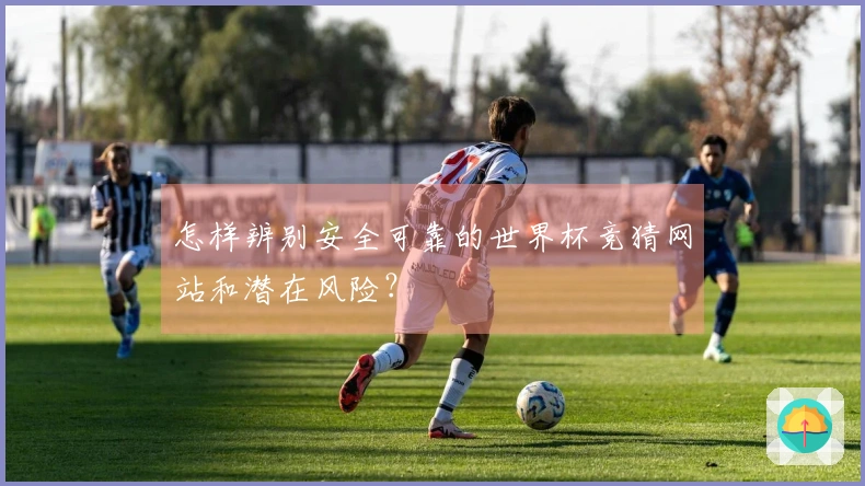 怎样辨别安全可靠的世界杯竞猜网站和潜在风险？