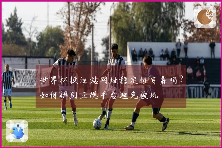 世界杯投注站网址稳定性可靠吗？如何辨别正规平台避免被坑